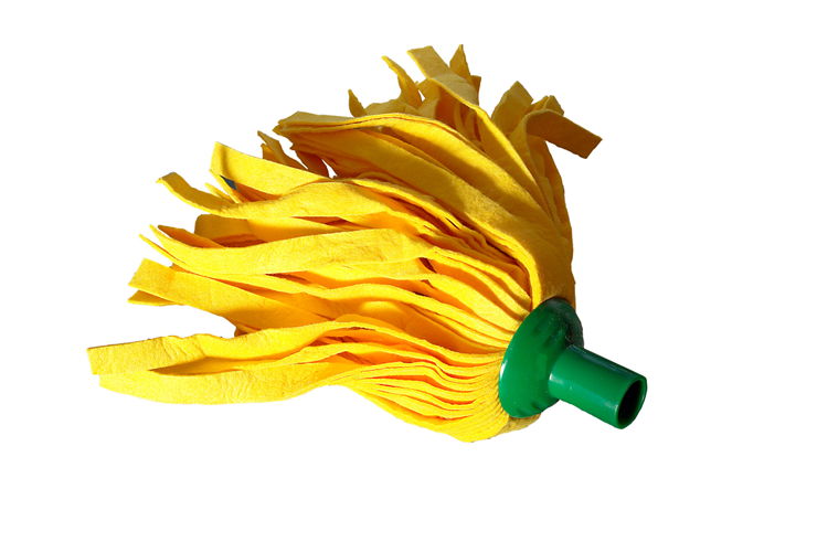 Picture Of Mocho Mop Cleaning
